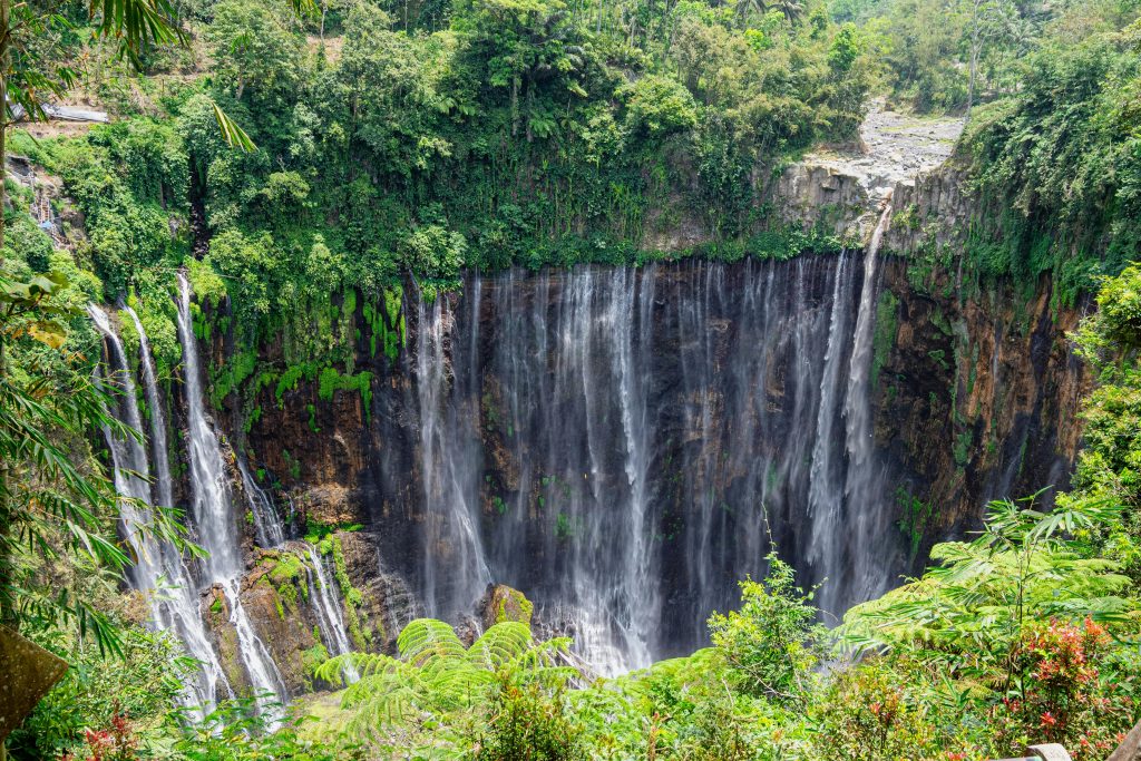 Tumpak Sewu Waterfall cascading through green forest in East Java, Indonesia.